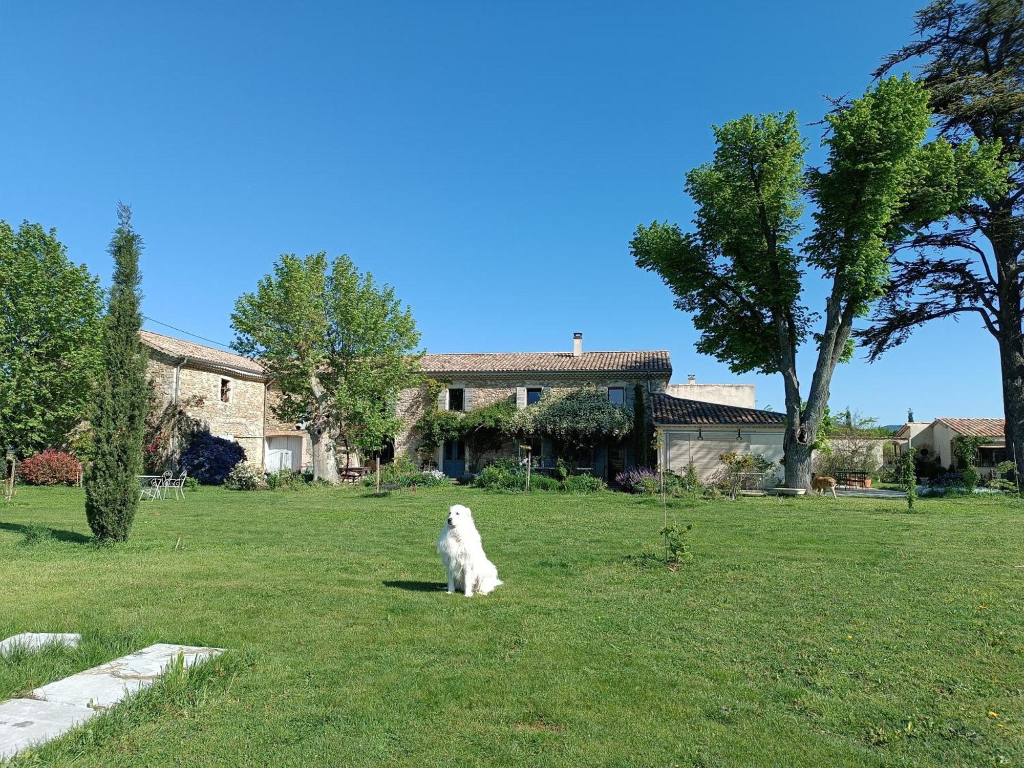 La Boheme Bed and Breakfast Charols Εξωτερικό φωτογραφία